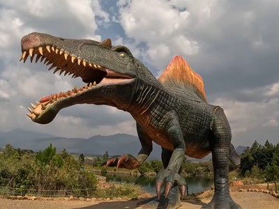 Villa de Leyva - Hotel Villa del Ángel - Villa de Leyva, Boyacá - image - 4