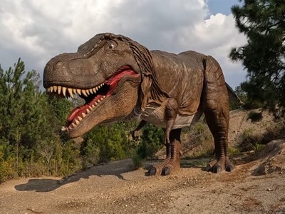 Villa de Leyva - Hotel Villa del Ángel - Villa de Leyva, Boyacá - image - 3